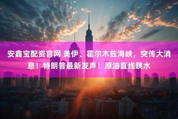 安鑫宝配资官网 美伊、霍尔木兹海峡，突传大消息！特朗普最新发声！原油直线跳水